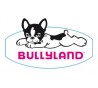 BULLYLAND